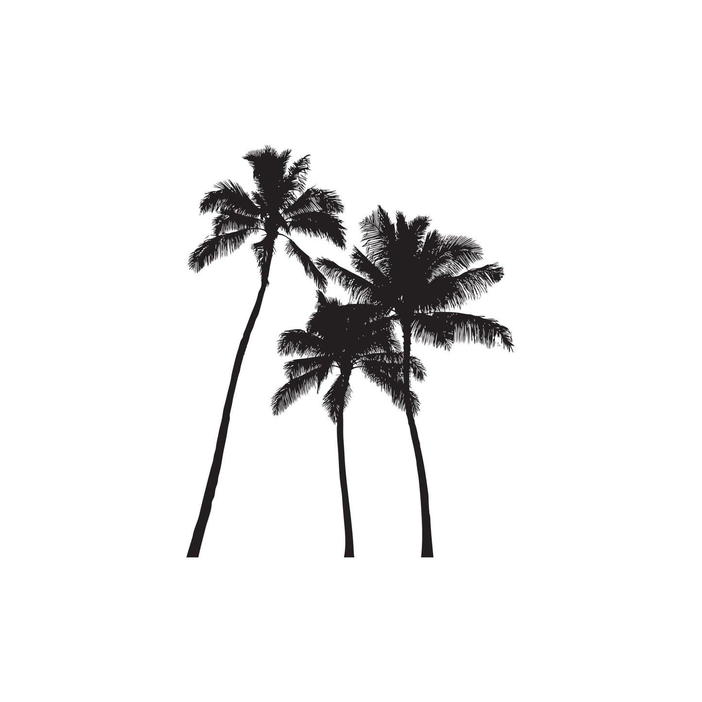 Tropical Palm Trees Vinyl Wall Decal Sticker. #801