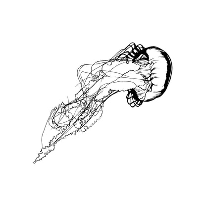 Jellyfish Marine Life Wall Decal.  #OS_MB628