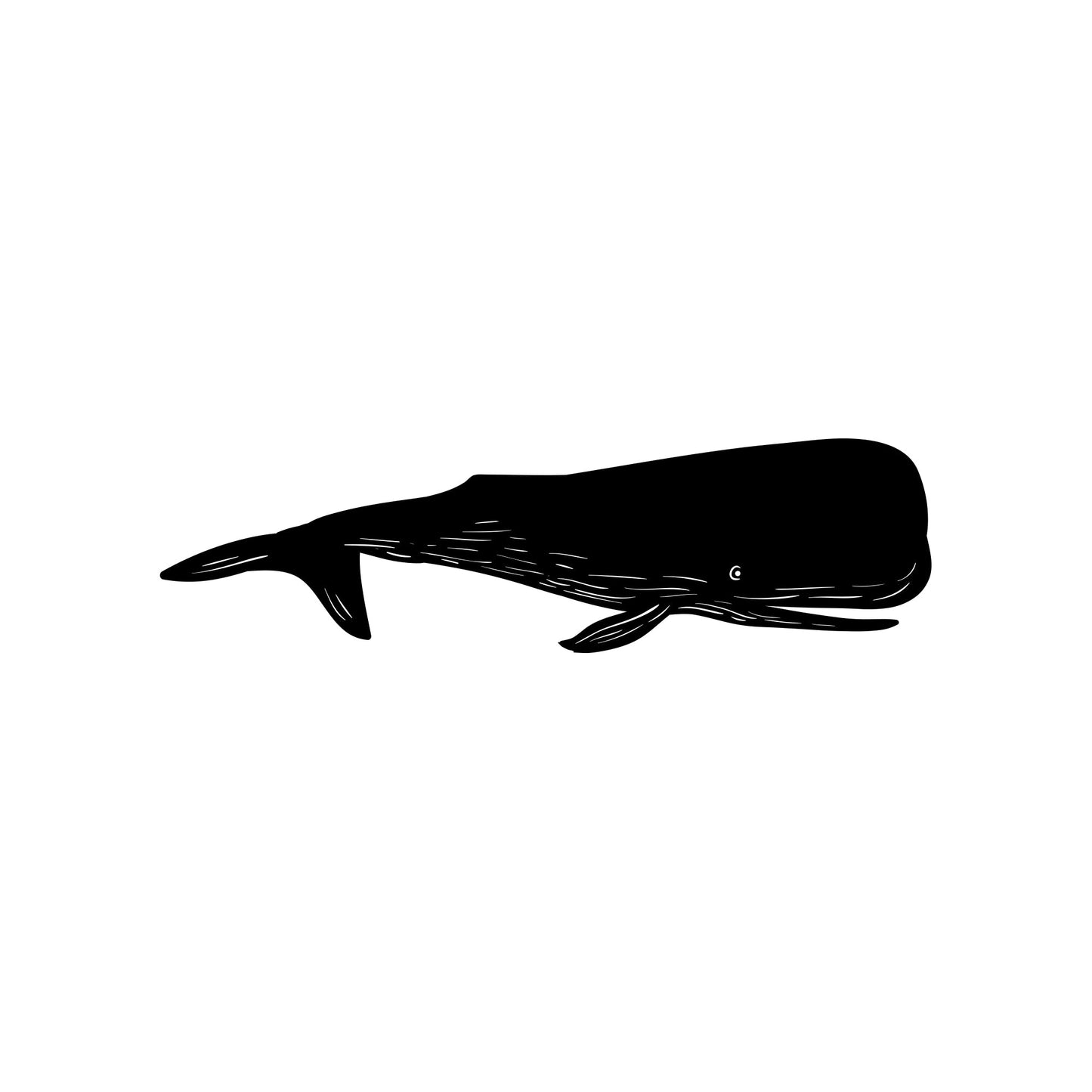 Whale Wall Decal Sticker Art. #OS_MB1102