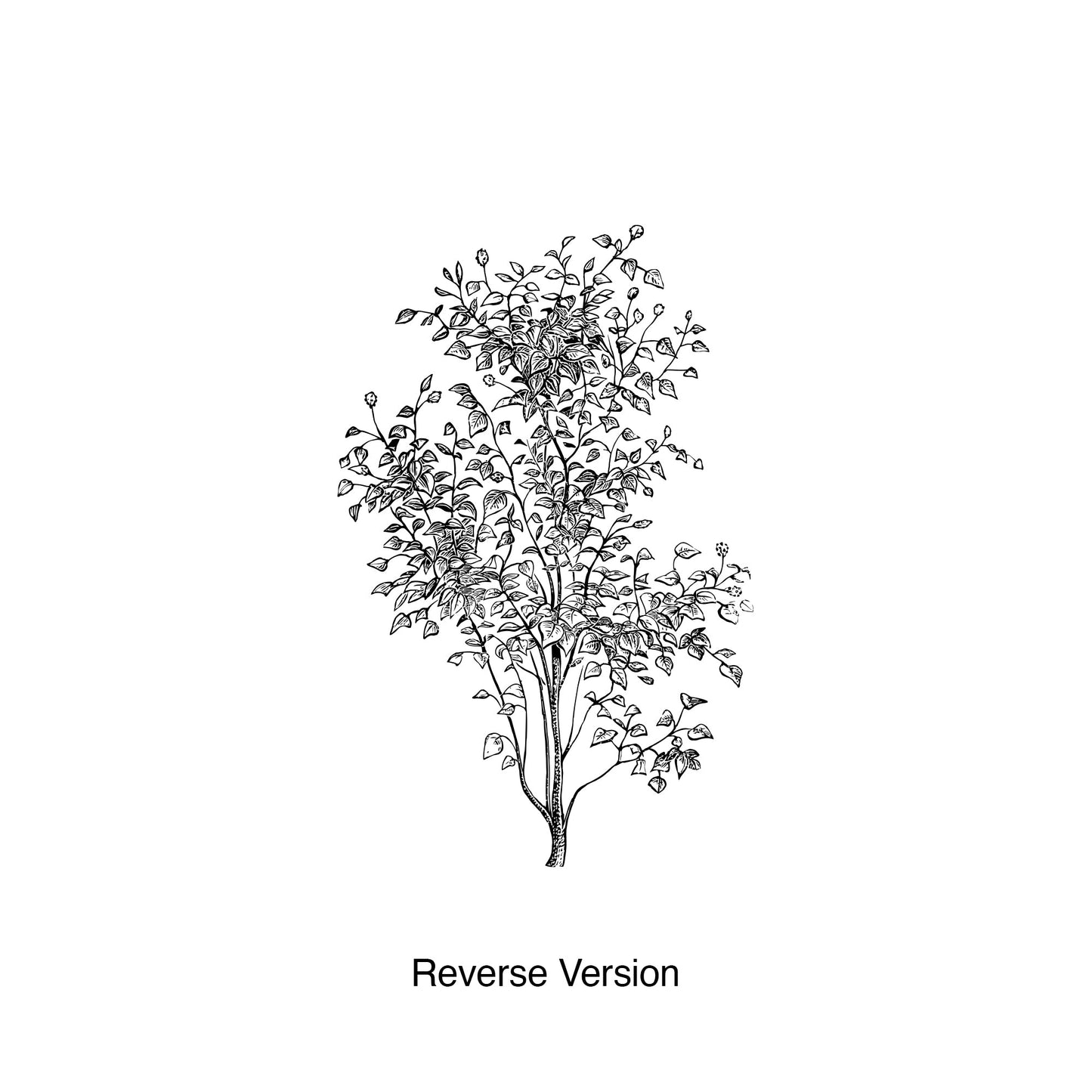Tree Wall Decal Sticker. Nature Inspired Wall Decor. #6743