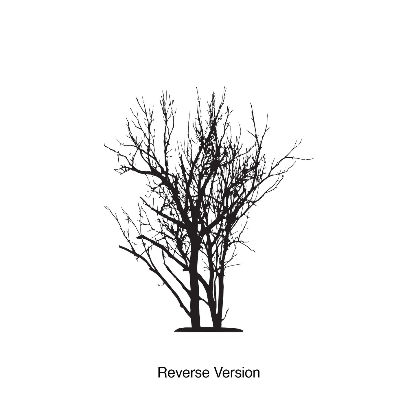 Bare Tree Wall Decal Sticker. #6705