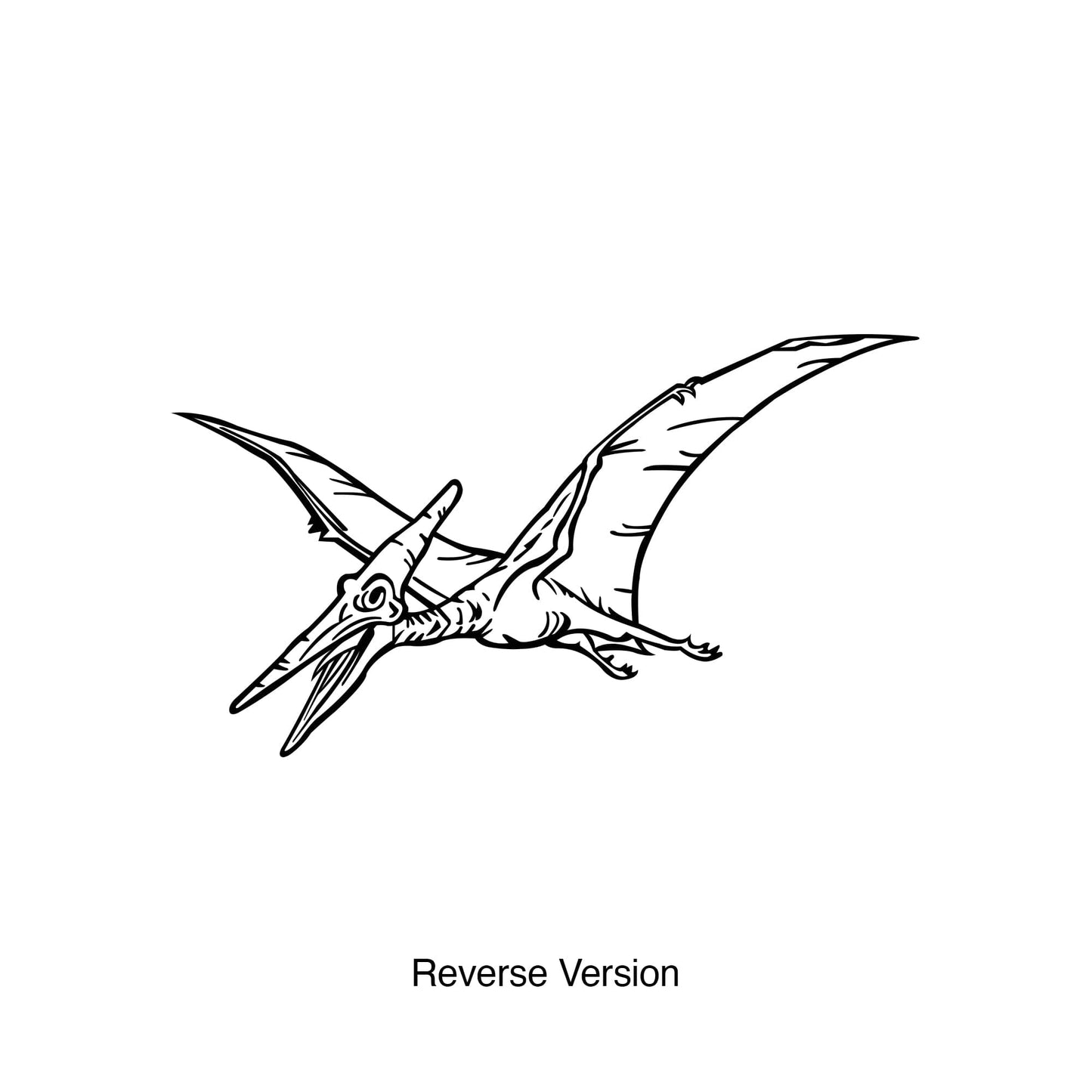 Dinosaur Pterodactyl Bird Vinyl Wall Decal Sticker. #KRiley113