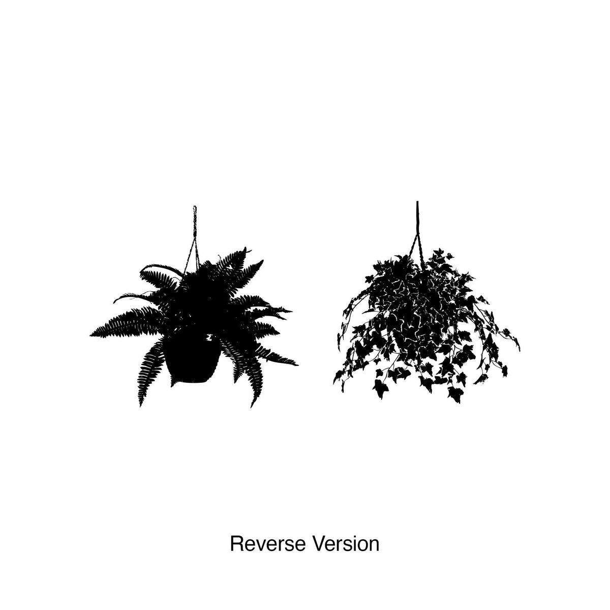 Pair Of Hanging Plants Vinyl Wall Decal Sticker. #5428