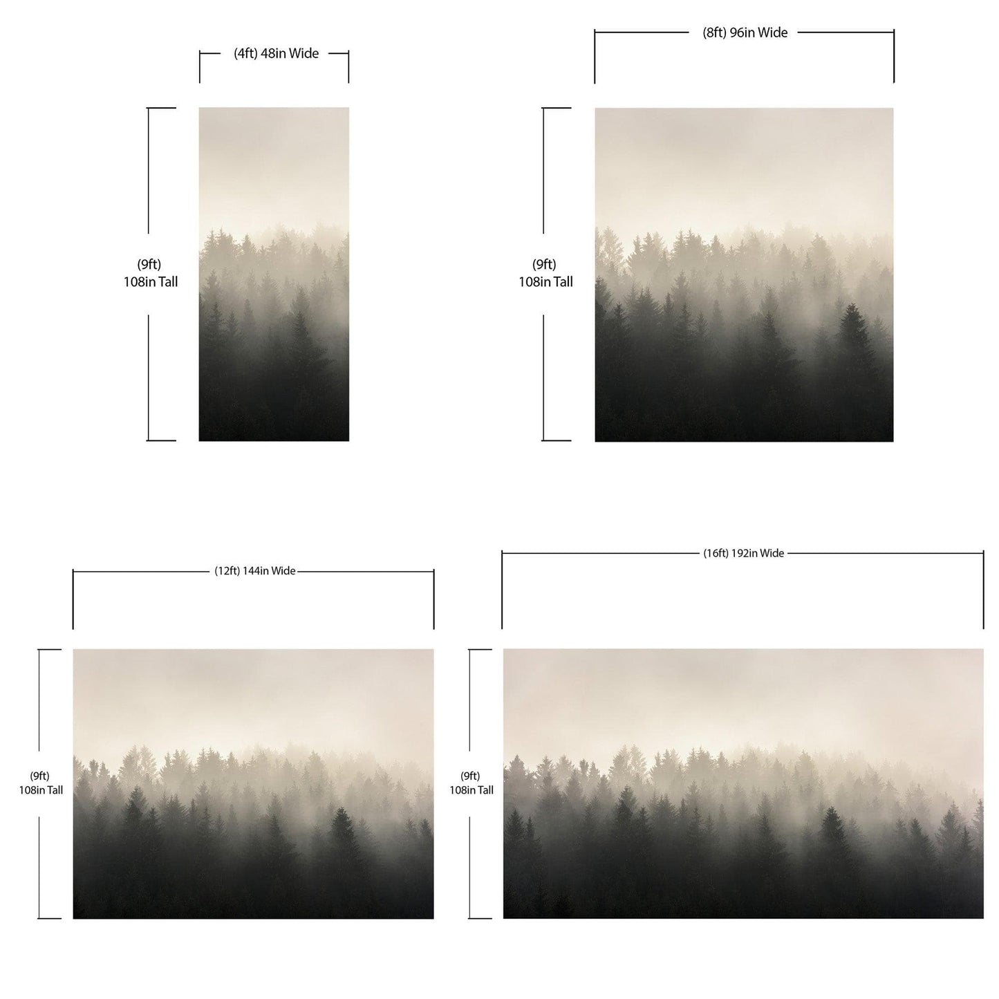 Misty Pine Forest Wall Mural. Peaceful Foggy Morning Scenery. #6122