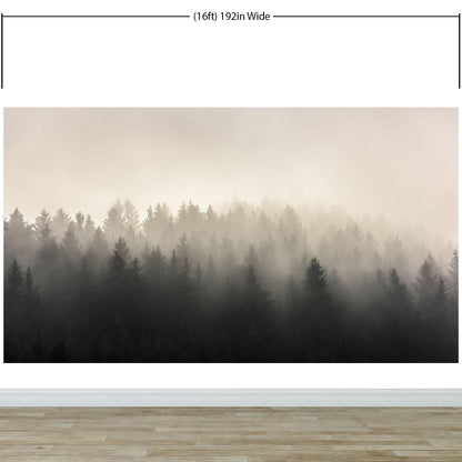 Misty Pine Forest Wall Mural. Peaceful Foggy Morning Scenery. #6122