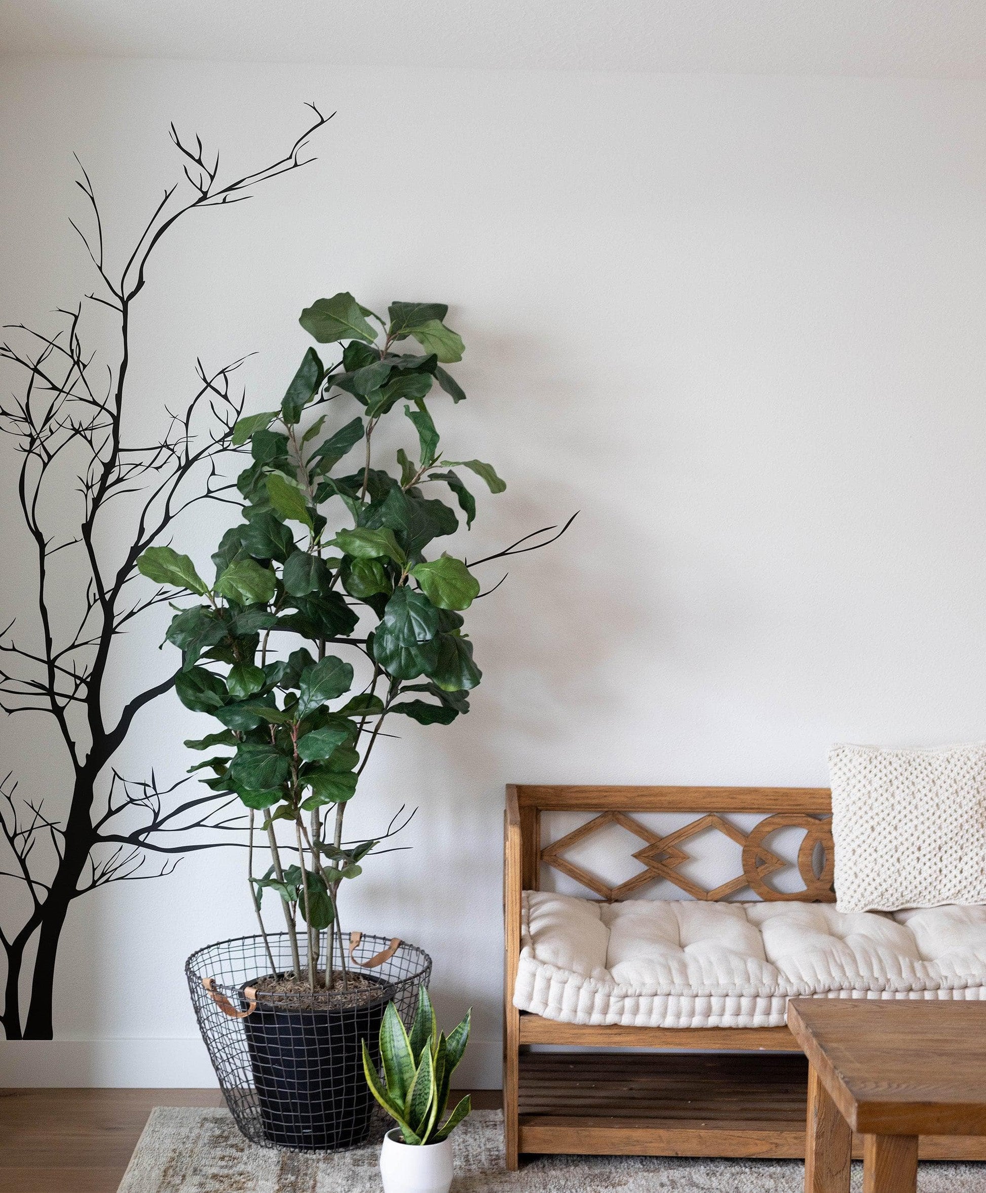 A black tree decal on a white wall in a living room next to a couch and a potted plant.