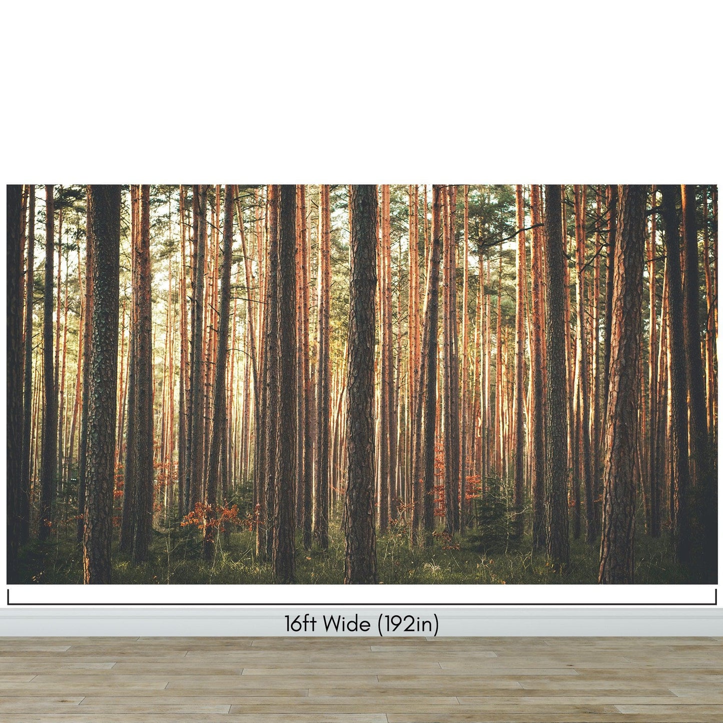 Forest Wallpaper Mural. Woodland Country Theme / Farmhouse Wall Decor. #6777