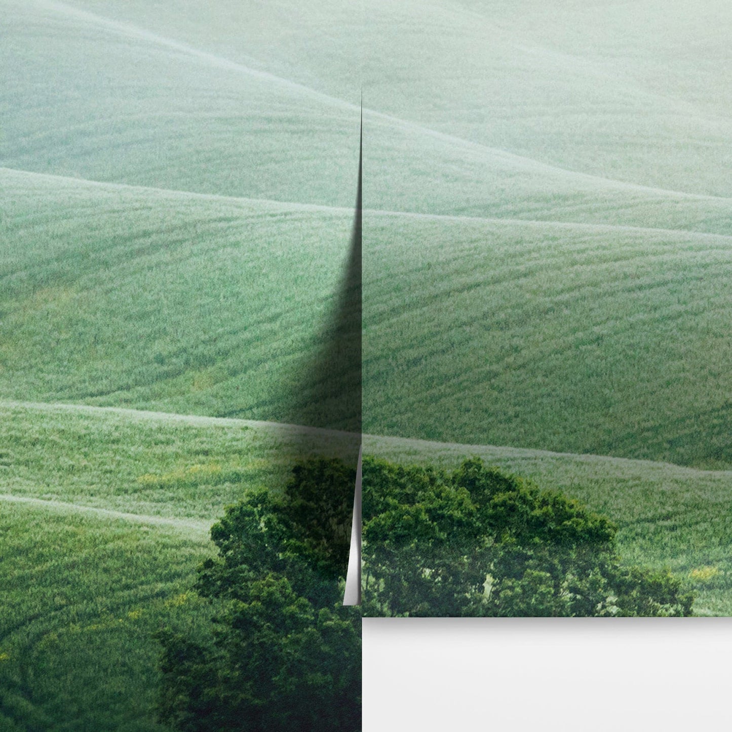 Tuscany Rolling Hills Meadow Wall Mural. Italian Countryside. #7053