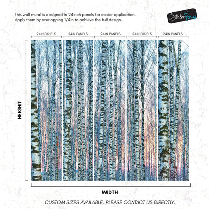 White Birch Tree Forest Wall Mural Wallpaper. Sunset Scenery. #6246