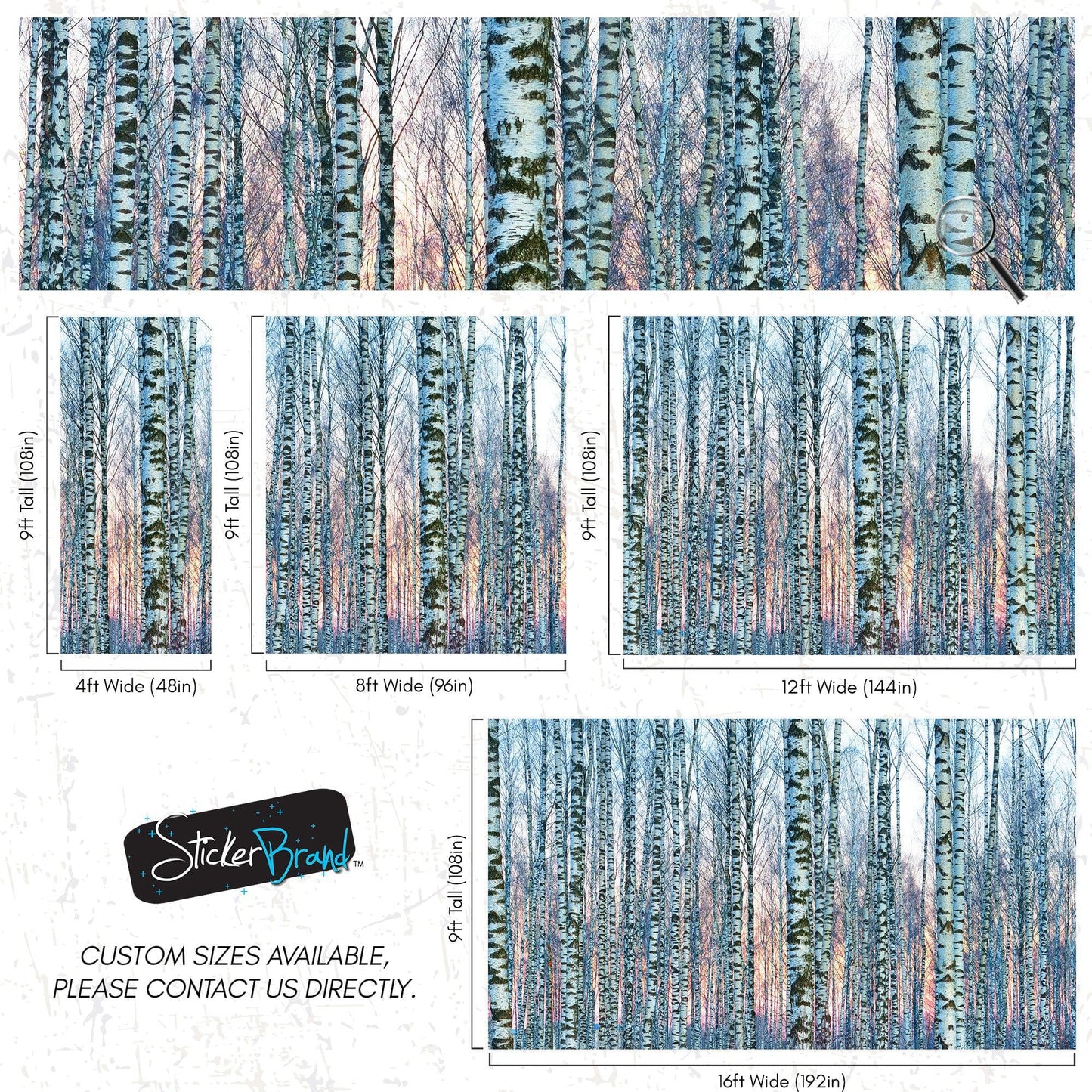 White Birch Tree Forest Wall Mural Wallpaper. Sunset Scenery. #6246