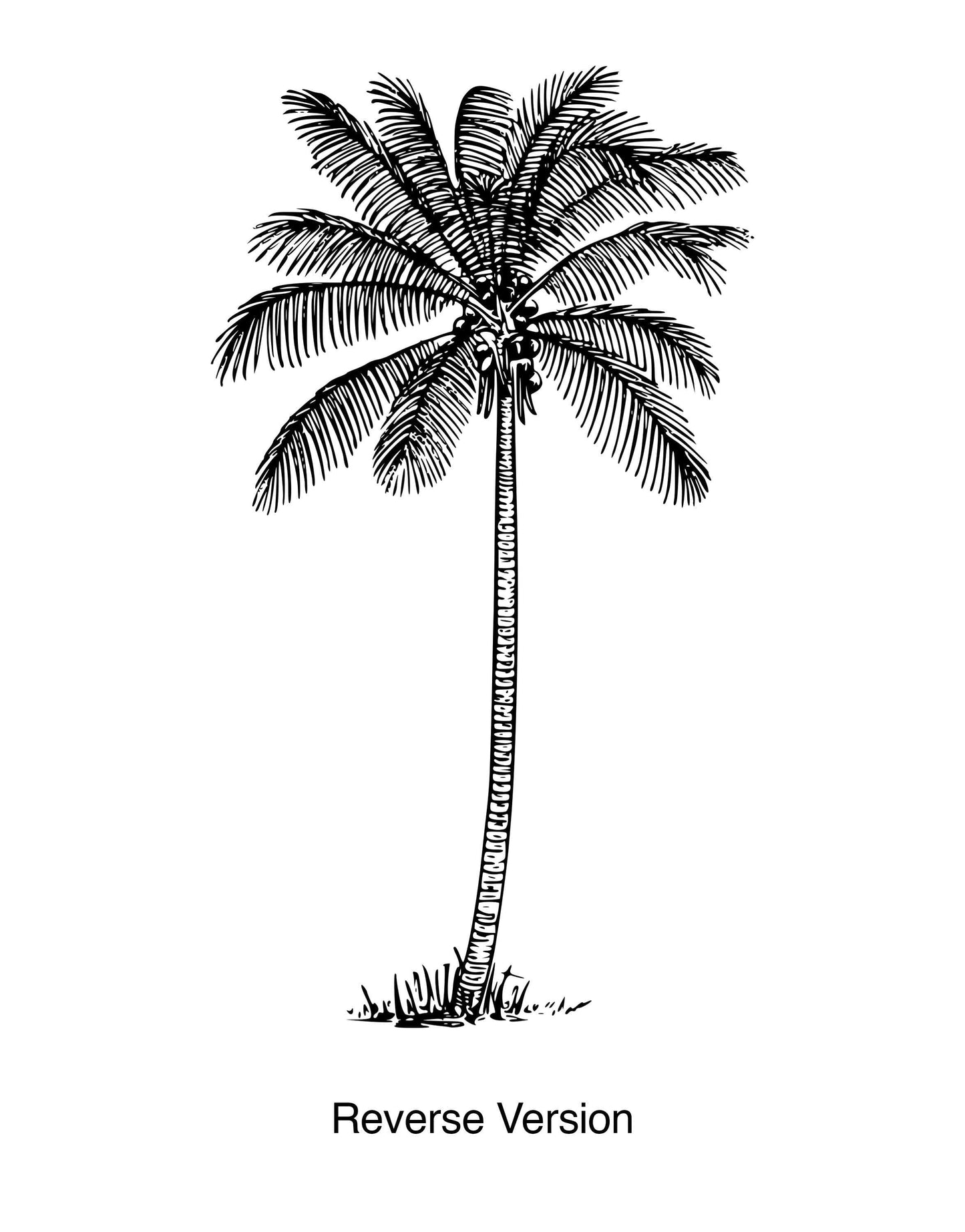 Coconut Palm Tree Vinyl Wall Decal Sticker. #237