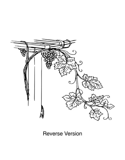Grape Vine Floral Vinyl Wall Decal Sticker for the Kitchen. #276