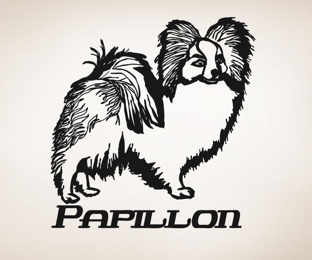 Vinyl Wall Decal Sticker Papillon #OS_AA627