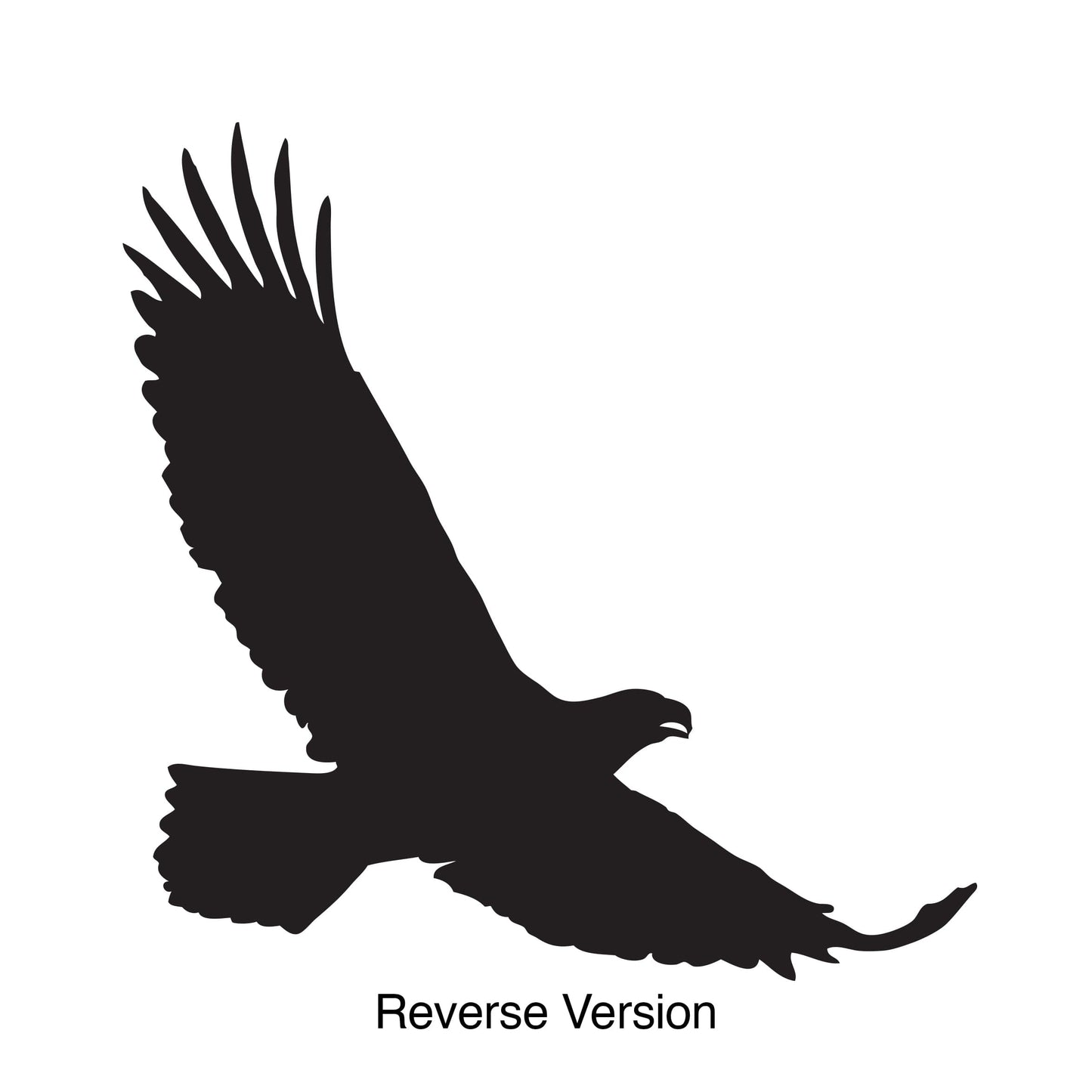 Eagle Flight Vinyl Wall Decal Sticker. #502