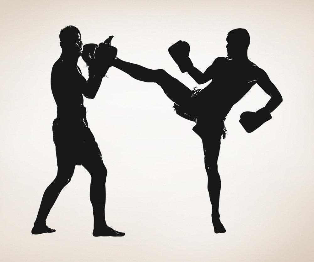 Vinyl Wall Decal Sticker MMA Fight #5063