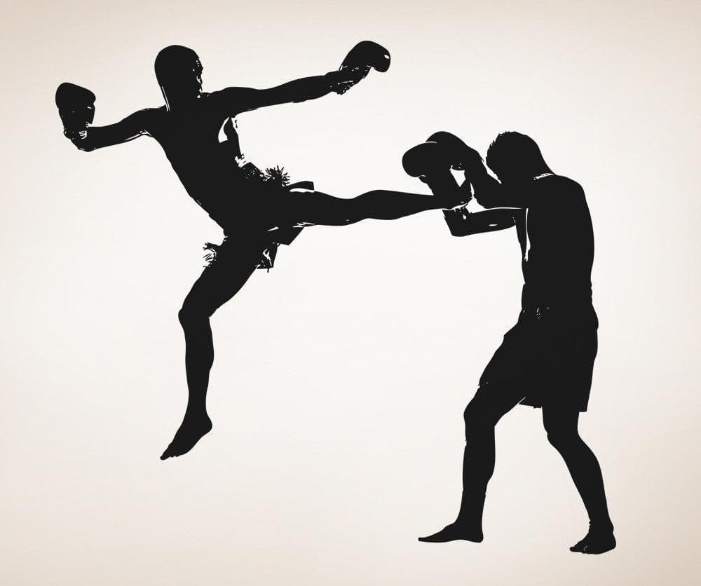 Vinyl Wall Decal Sticker MMA Kick #5064