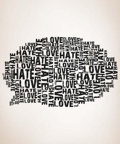 Vinyl Wall Decal Sticker Love Hate Speech Bubble #5136