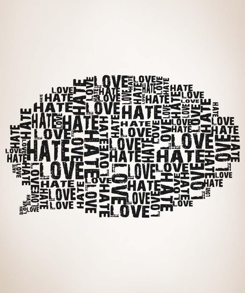 Vinyl Wall Decal Sticker Love Hate Speech Bubble #5136
