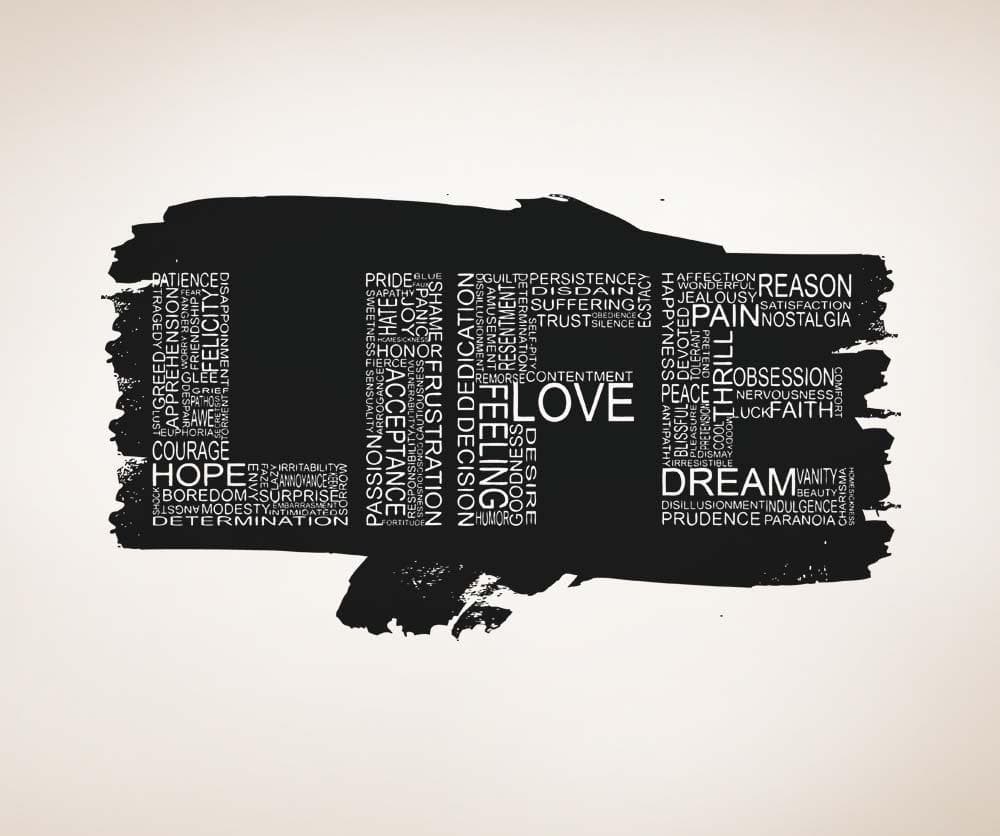 Vinyl Wall Decal Sticker Life Words Design #5160
