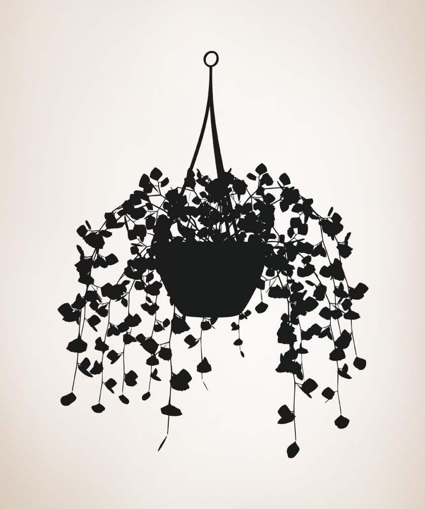 Vinyl Wall Decal Sticker Potted Vine Plant #5168