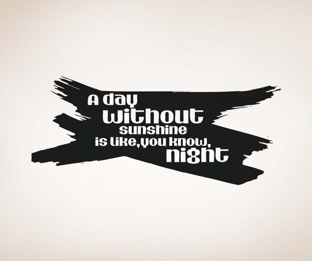 Vinyl Wall Decal Sticker A Day Without Sunshine Quote #5175