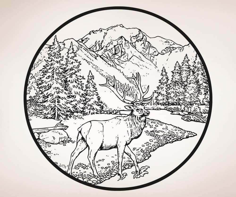 Vinyl Wall Decal Sticker River Scenery With Deer #5282