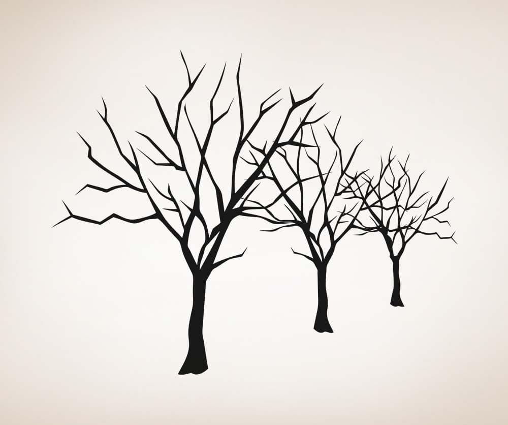 Vinyl Wall Decal Sticker Bare Trees Lineup #5307