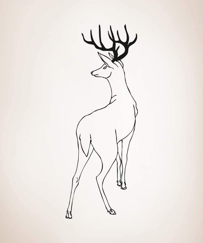 Vinyl Wall Decal Sticker Behind Deer #5316