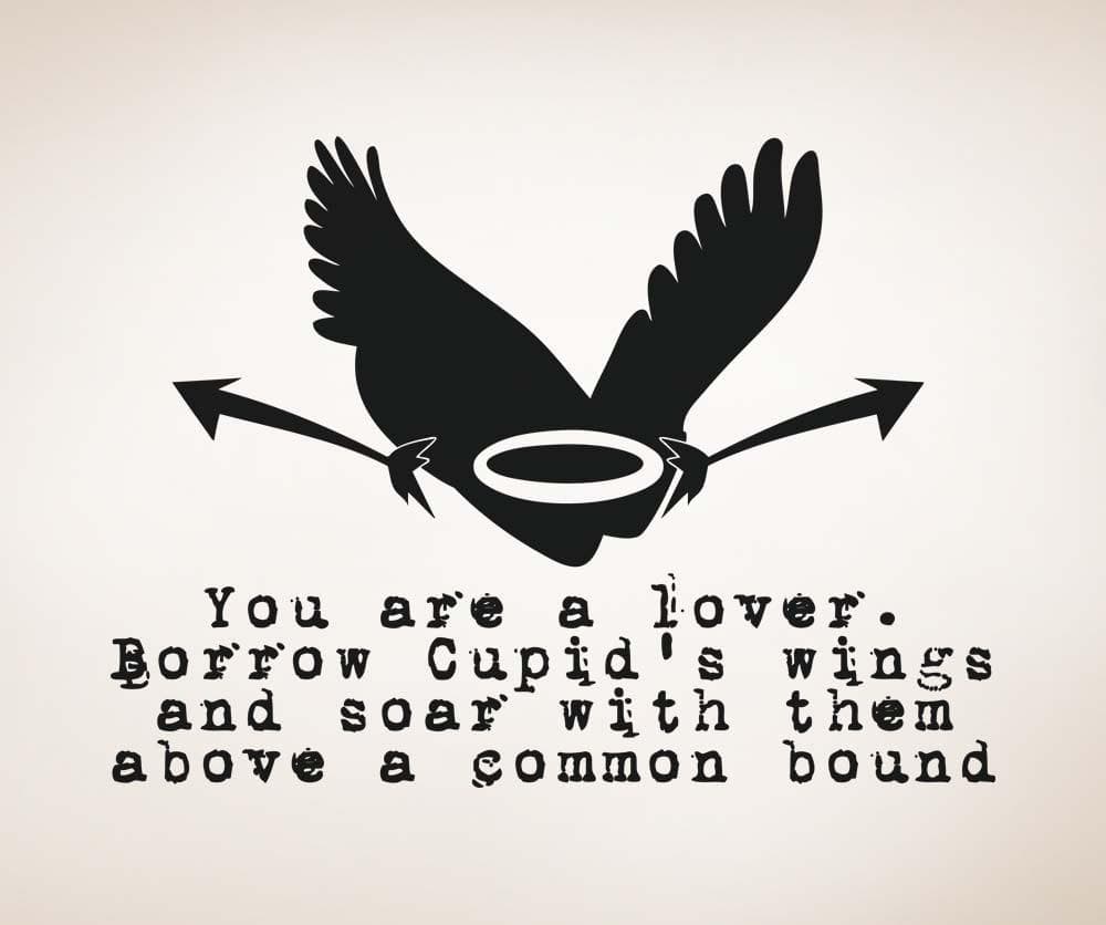 Vinyl Wall Decal Sticker Borrow Cupid's Wings Quote #5375