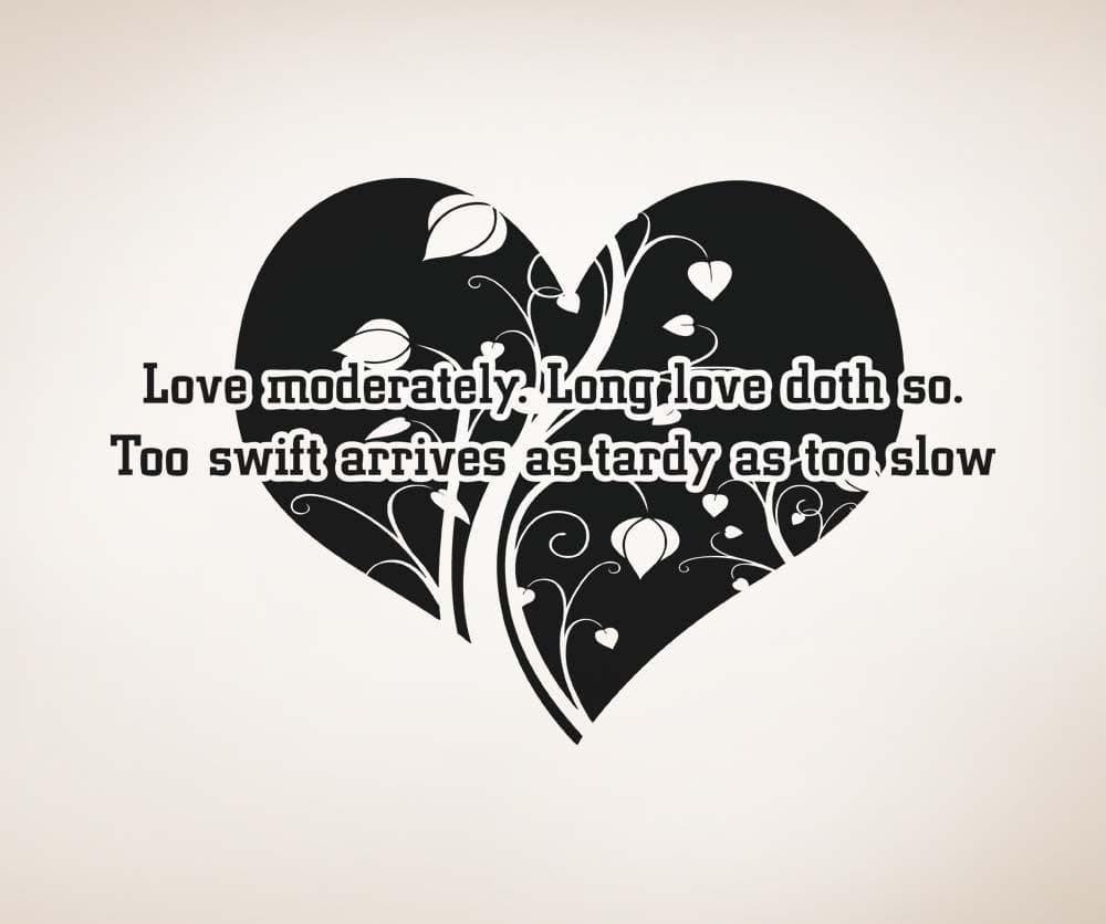 Vinyl Wall Decal Sticker Love Moderately Quote #5378
