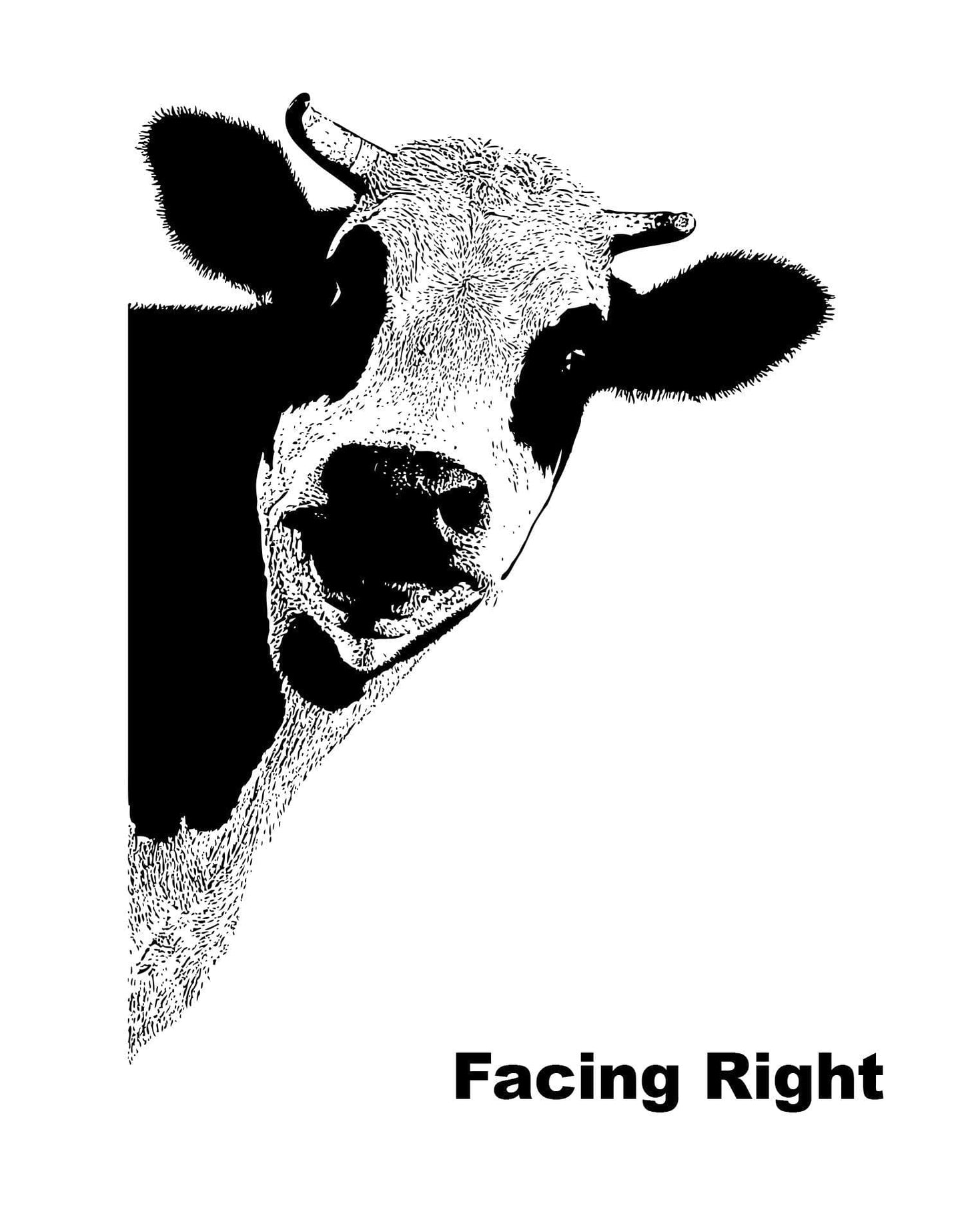 Black and white peeking cow decal on a white background.