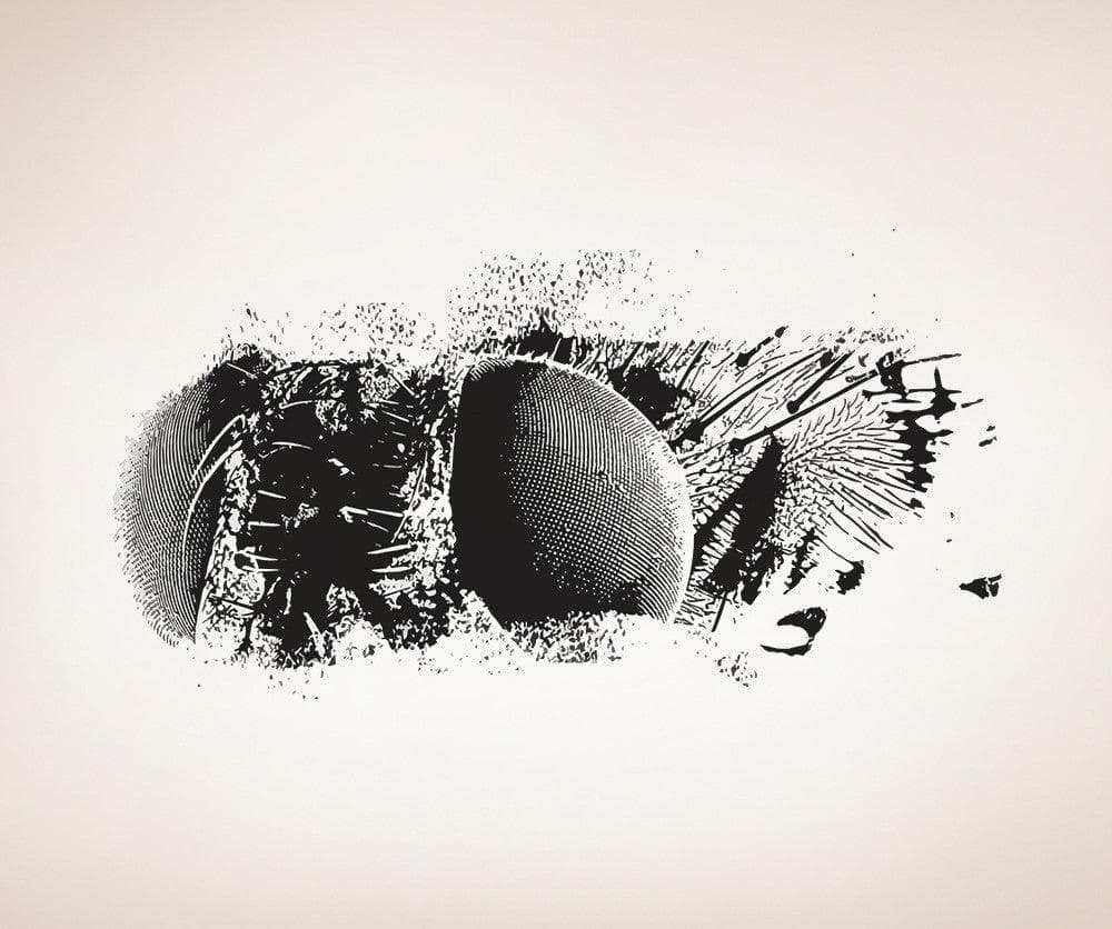 Vinyl Wall Decal Sticker Bug Eyes #5521