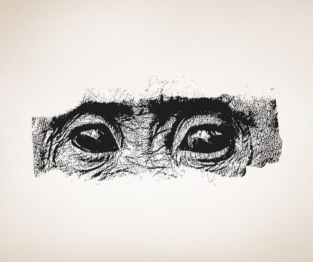 Vinyl Wall Decal Sticker Chimp Eyes #5526