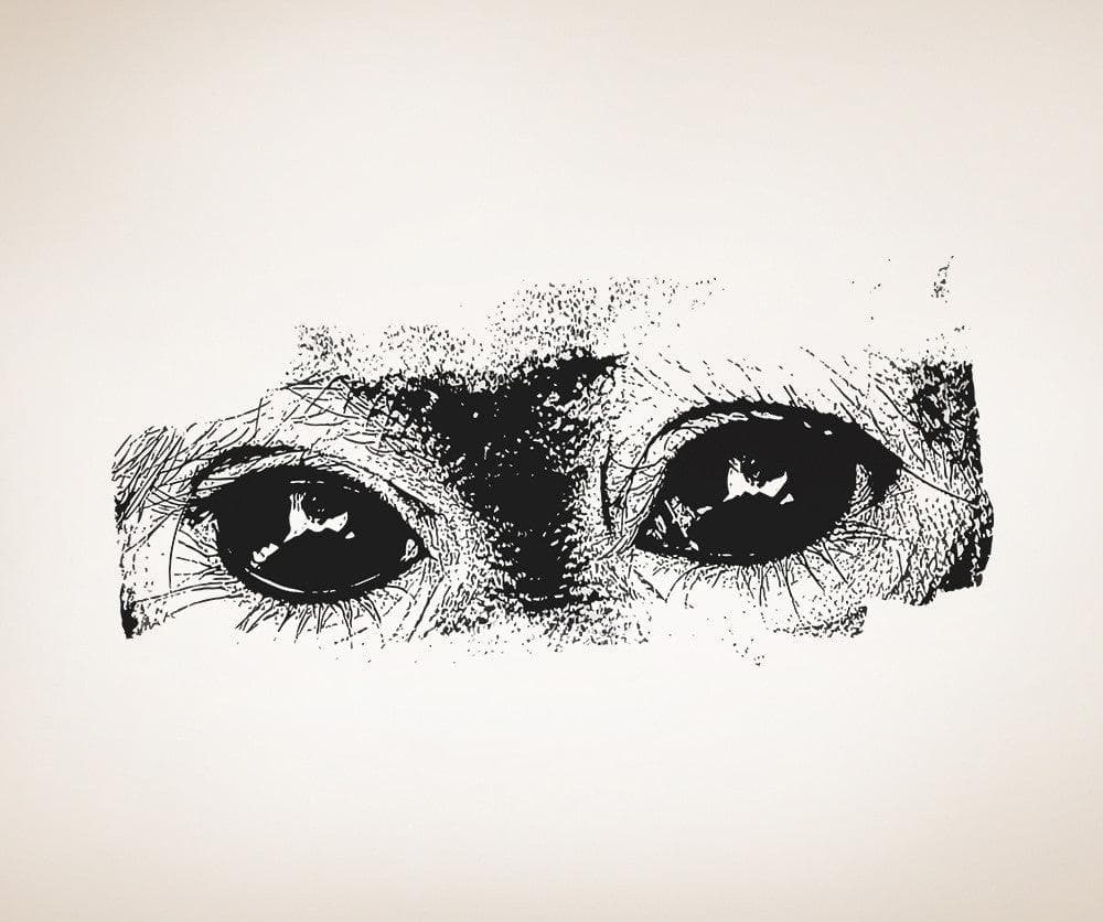 Vinyl Wall Decal Sticker Monkey Eyes #5527