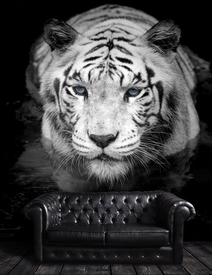 Tiger Stare Down Large Mural (Black and White) #6045