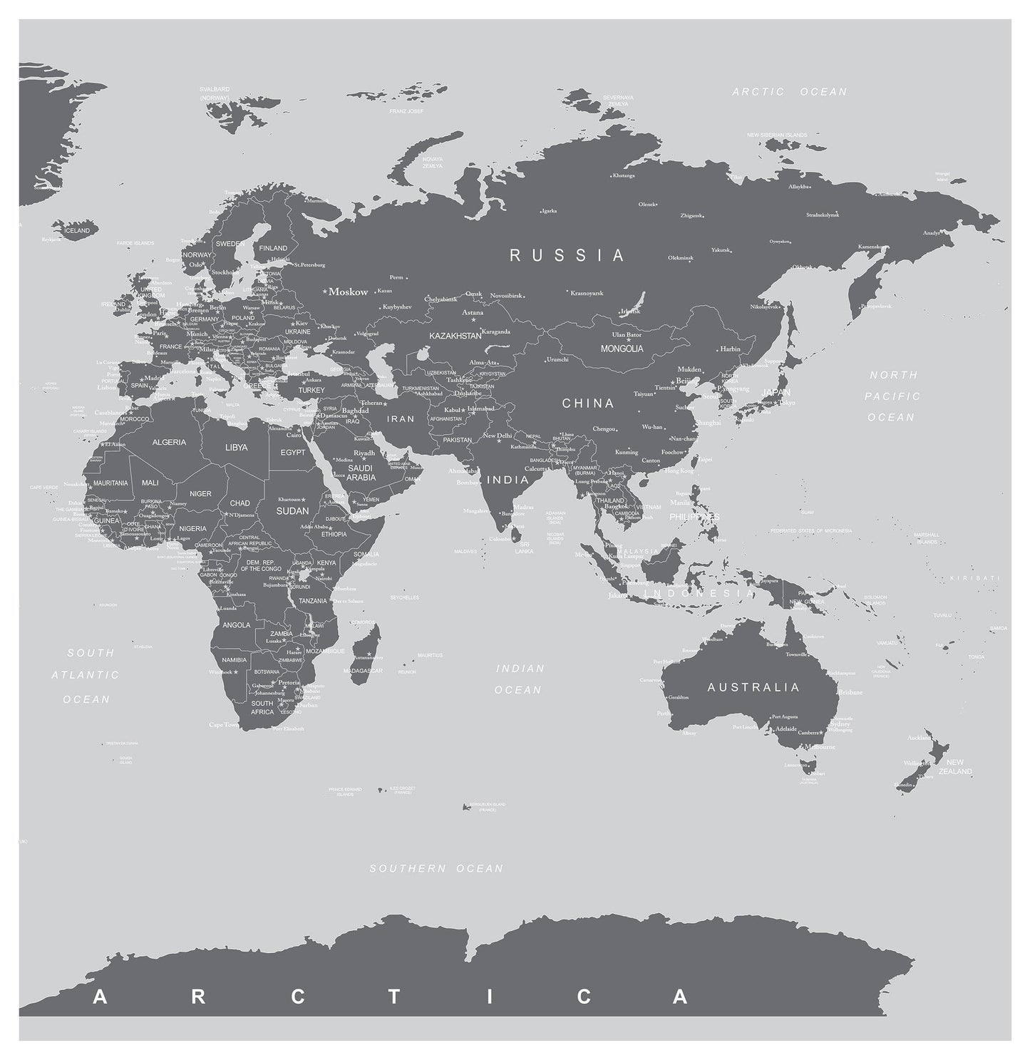 World Map Wallpaper Mural (Grey). #6133