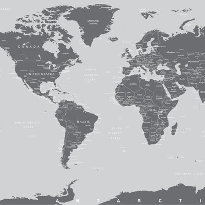 World Map Wall Mural (Grey). #6133