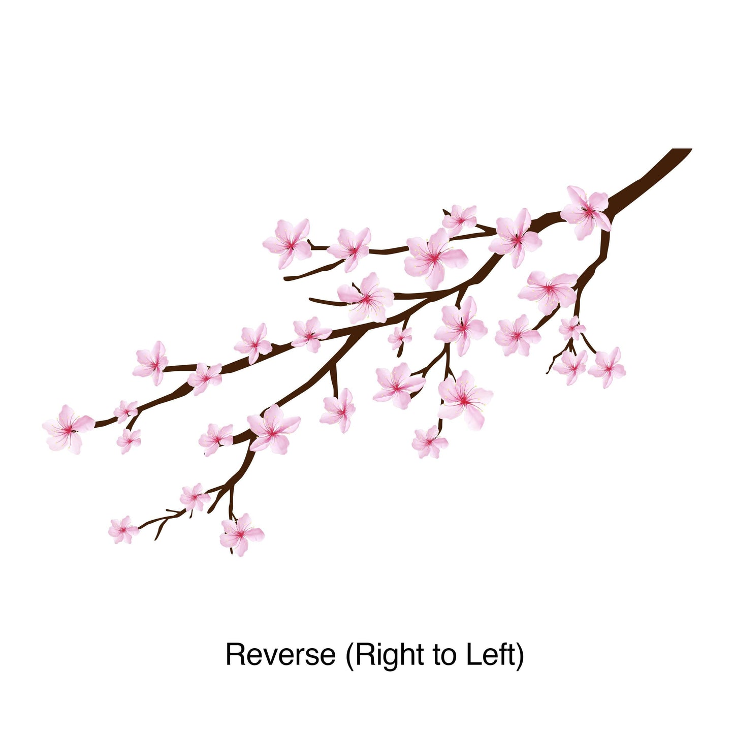 Cherry Blossom Branch Graphic Wall Decal Sticker. Pink Sakura Branches. #6207