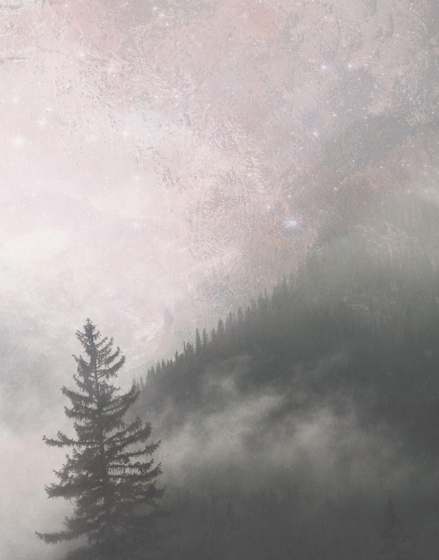 Foggy Misty Forest Trees Over Mountain Under a Starry Night Wall Mural. #6304
