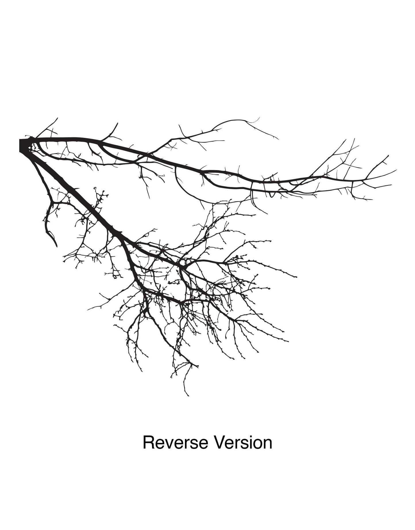 Hanging Bare Tree Branches Vinyl Wall Decal Sticker. #763