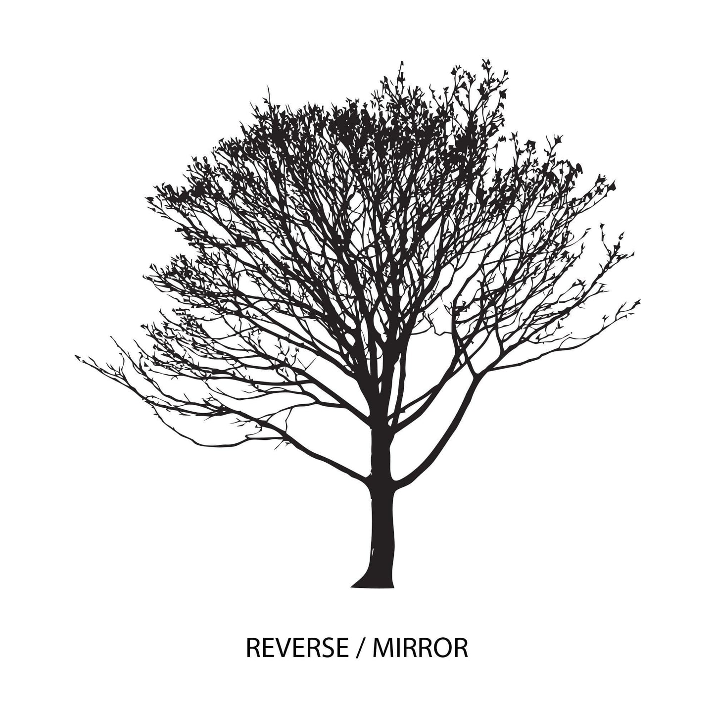 Bare Tree Wall Decal Sticker. #858