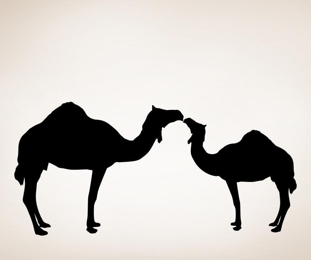 Vinyl Wall Decal Sticker Two Camels #OS_MG454