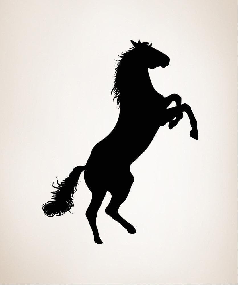 Vinyl Wall Decal Sticker Bucking Horse #OS_MB427