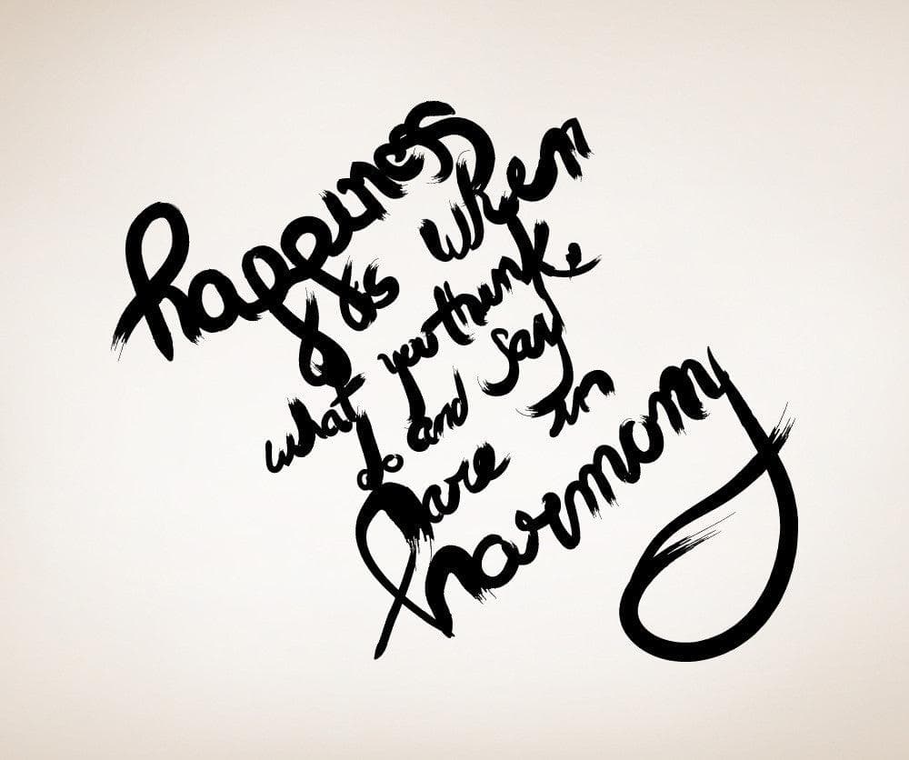 Vinyl Wall Decal Sticker Happiness Quote #OS_MB287