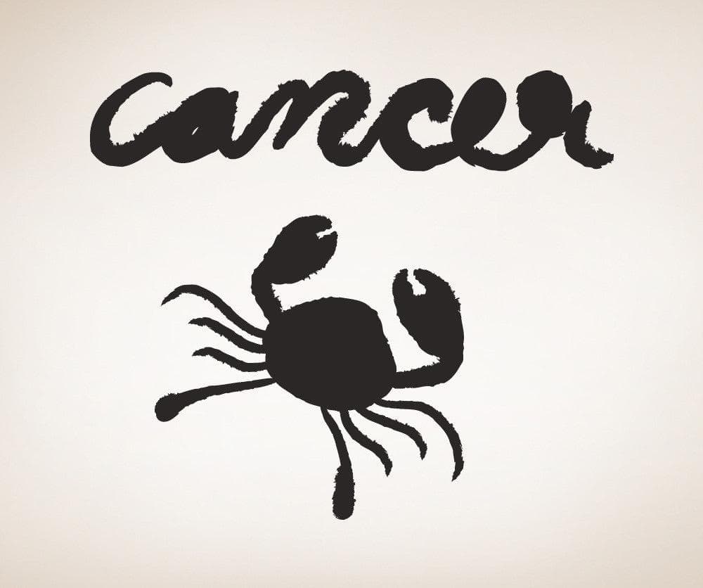 Vinyl Wall Decal Sticker Cancer #OS_MB433