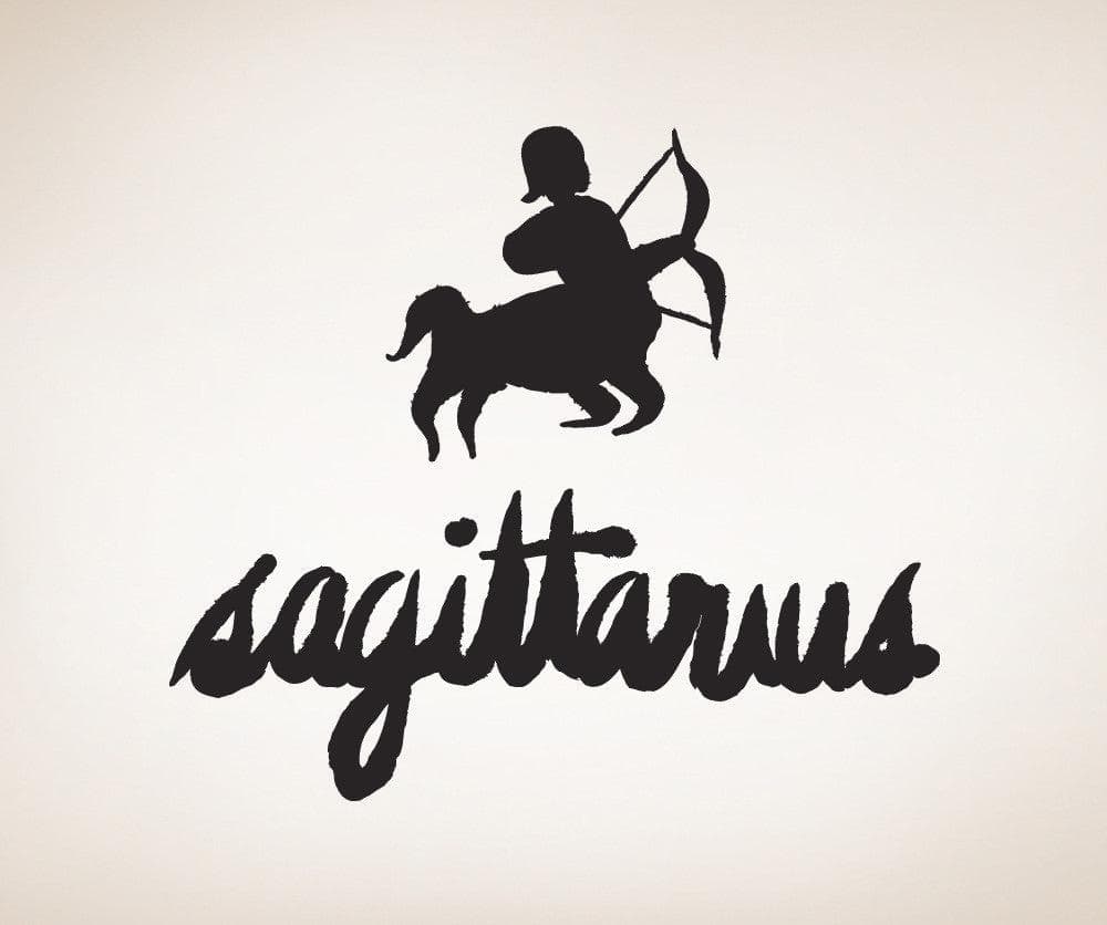 Vinyl Wall Decal Sticker Sagittarius #OS_MB438