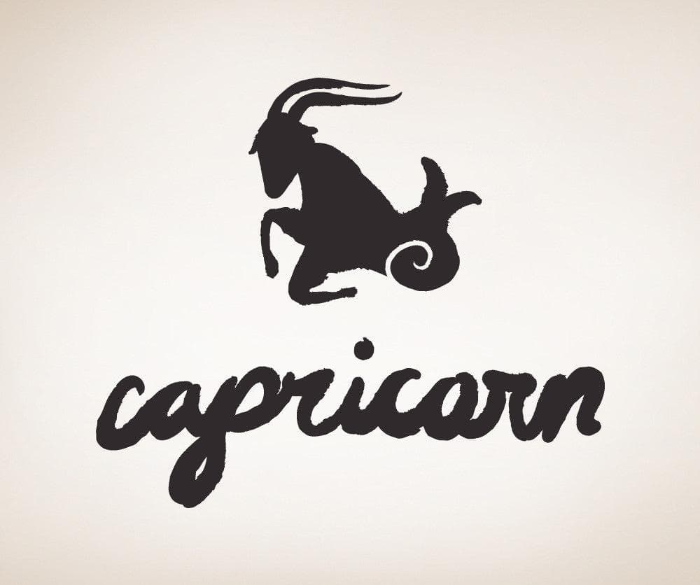 Vinyl Wall Decal Sticker Capricorn #OS_MB439