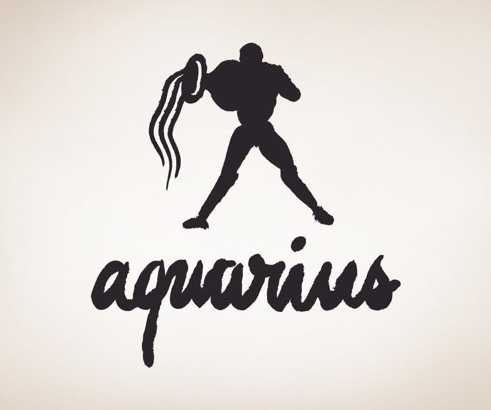 Vinyl Wall Decal Sticker Aquarius #OS_MB440
