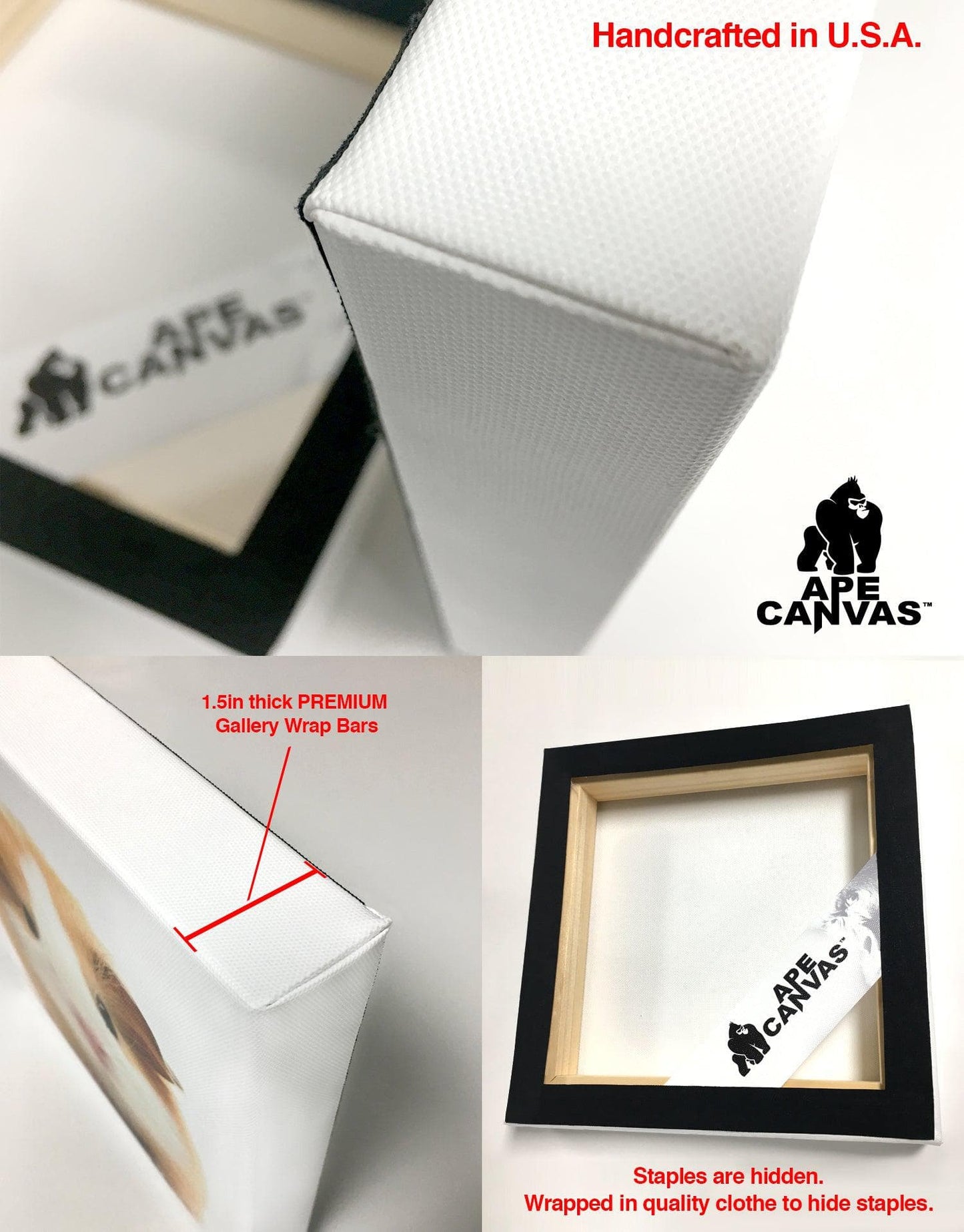 The Godfather Boss Cat Canvas: by APE CANVAS #C109