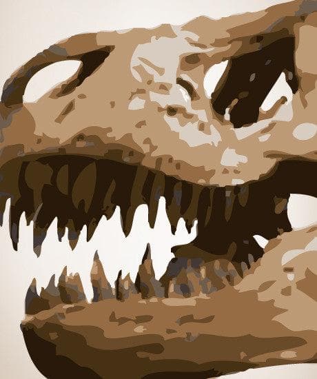 Graphic Vinyl Wall Decal Sticker Dinosaur T-Rex #MMartin152